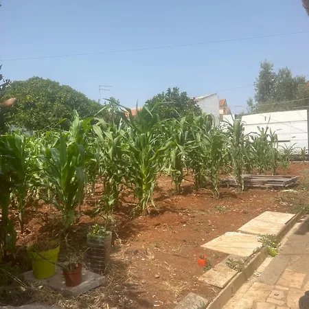 Freedom Δωμάτια σε οικογενειακή κατοικία Sao Domingos de Rana